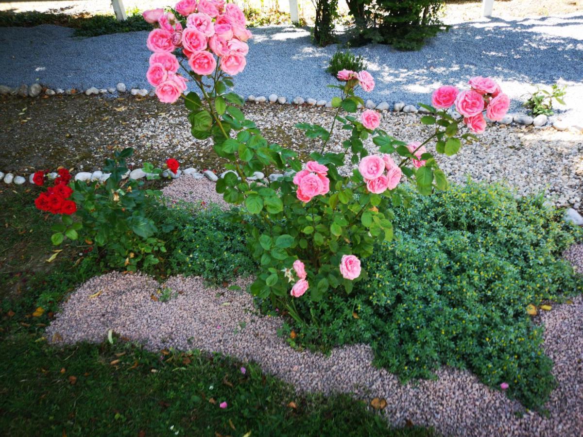 La Nouvelle Criqueboise Bed & Breakfast Criquebeuf-en-Caux Bagian luar foto